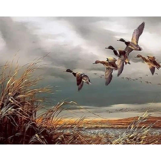 Flying Animal Bird Diy Paint By Numbers Kits ZXQ2277 - NEEDLEWORK KITS