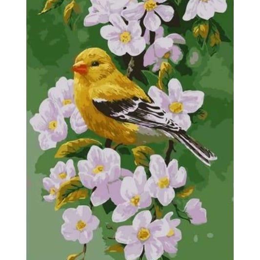 Flying Animal Bird Diy Paint By Numbers Kits ZXQ2483 - NEEDLEWORK KITS