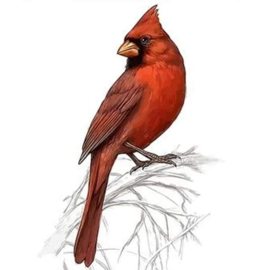 Flying Animal Bird Diy Paint By Numbers Kits ZXQ2675 - NEEDLEWORK KITS