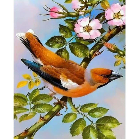 Flying Animal Bird Diy Paint By Numbers Kits ZXQ3762 - NEEDLEWORK KITS