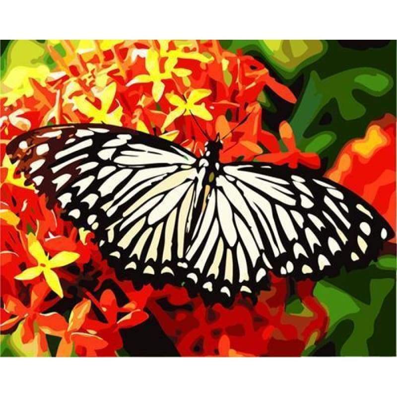Flying Animal Butterfly Diy Paint By Numbers Kits ZXB490 - NEEDLEWORK KITS