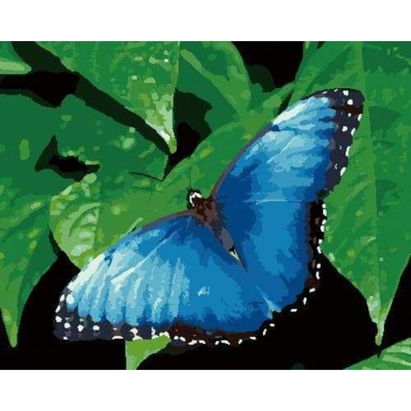 Flying Animal Butterfly Diy Paint By Numbers Kits ZXB789 - NEEDLEWORK KITS