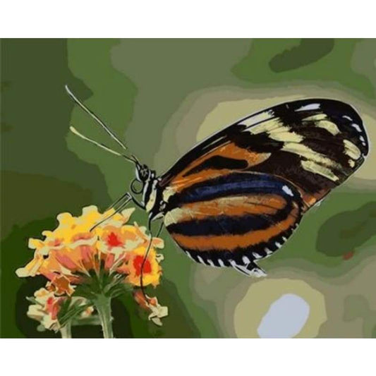 Flying Animal Butterfly Diy Paint By Numbers Kits ZXQ1773 - NEEDLEWORK KITS