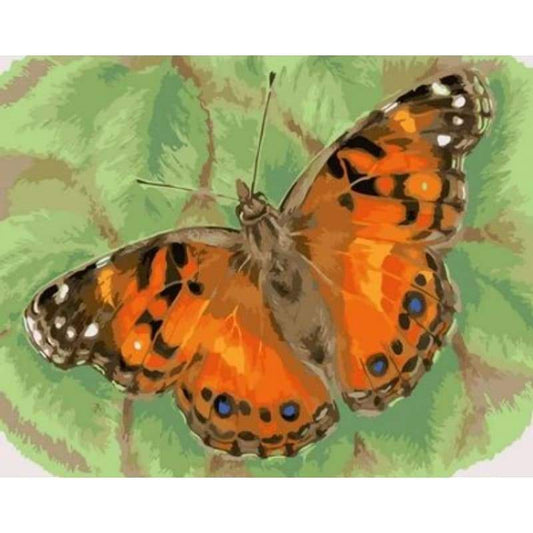 Flying Animal Butterfly Diy Paint By Numbers Kits ZXQ2099 - NEEDLEWORK KITS