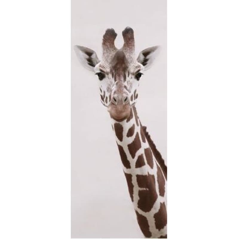 Full Drill - 5D Diamond Painting Kits Animal Cute Giraffe - 