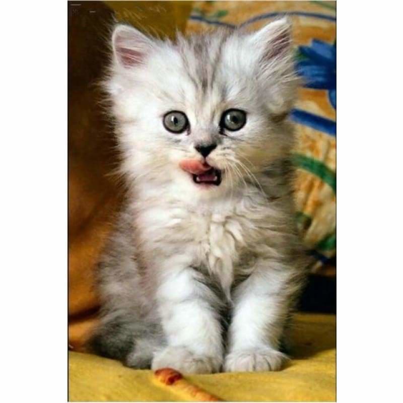 Full Drill - 5D Diamond Painting Kits Cute Cat Baby - 4