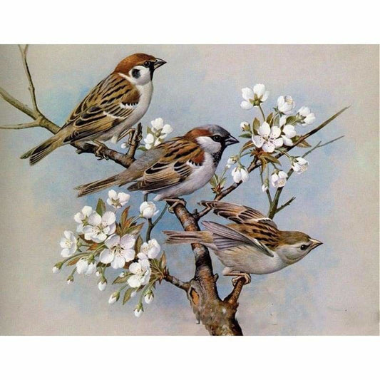 Full Drill - 5D DIY Diamond Painting Kits Affordable Birds