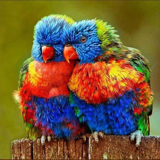 Full Drill - 5D DIY Diamond Painting Kits Animal Birds in