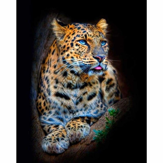 Full Drill - 5D DIY Diamond Painting Kits Animal Portrait 