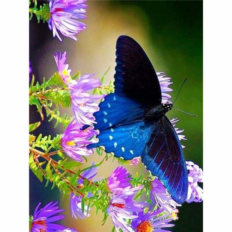Full Drill - 5D DIY Diamond Painting Kits Blue Butterfly And