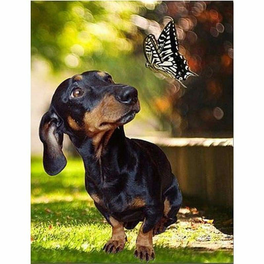 Full Drill - 5D DIY Diamond Painting Kits Cartoon Butterfly