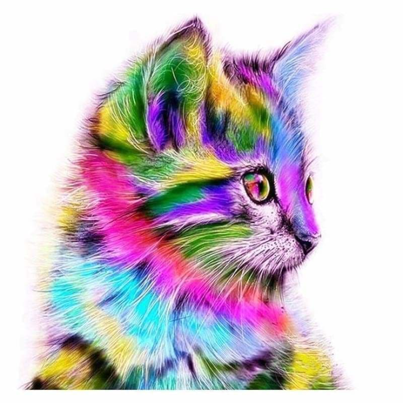 Full Drill - 5D DIY Diamond Painting Kits Colorful Cute Cat