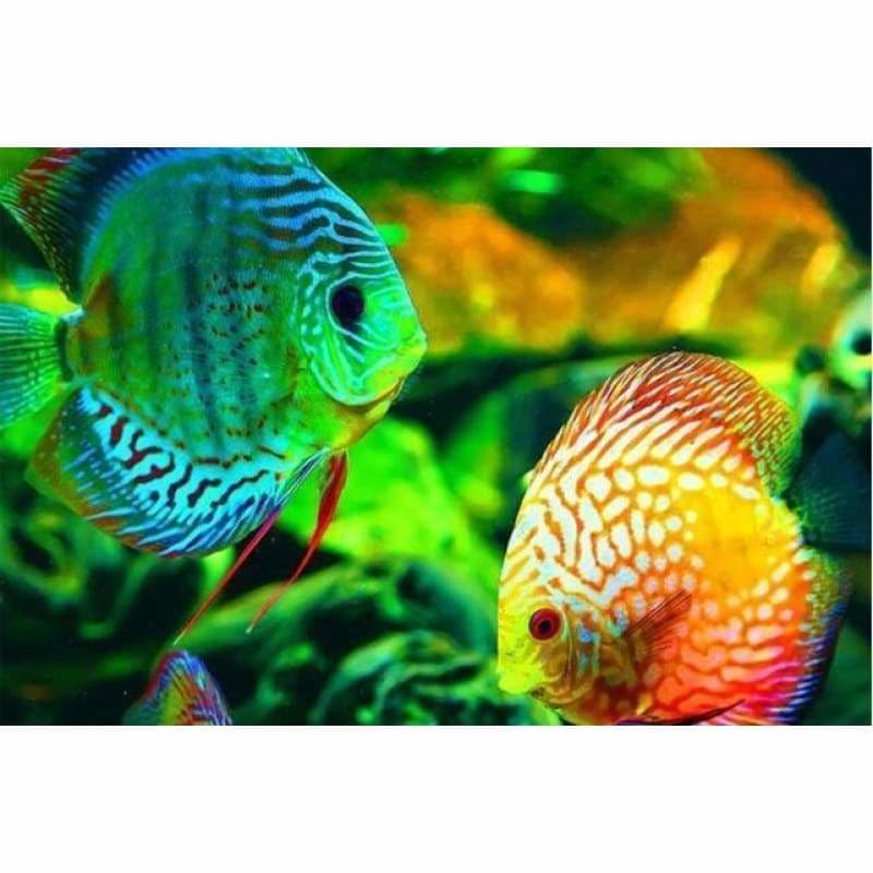 Full Drill - 5D DIY Diamond Painting Kits Colorful Fishs - 