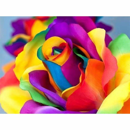 Full Drill - 5D DIY Diamond Painting Kits Colorful Flower -