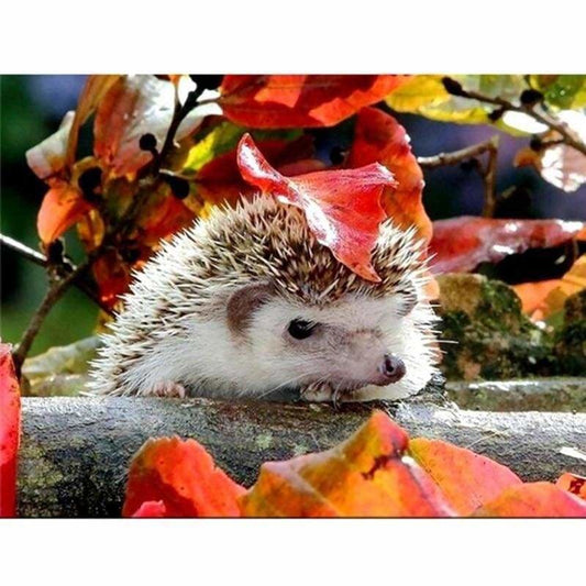 Full Drill - 5D DIY Diamond Painting Kits Cute Hedgehog 