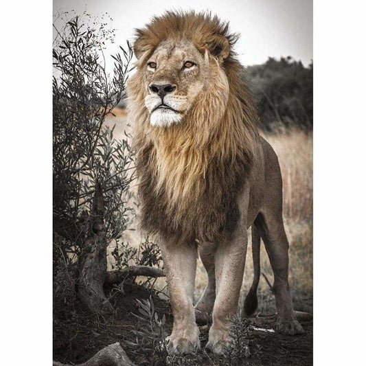 Full Drill - 5D DIY Diamond Painting Kits Dream Lion Gaze -