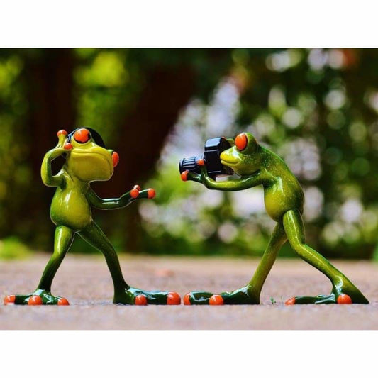 Full Drill - 5D DIY Diamond Painting Kits Funny Photograph