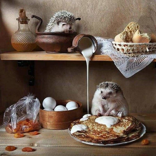 Full Drill - 5D DIY Diamond Painting Kits Hazardous