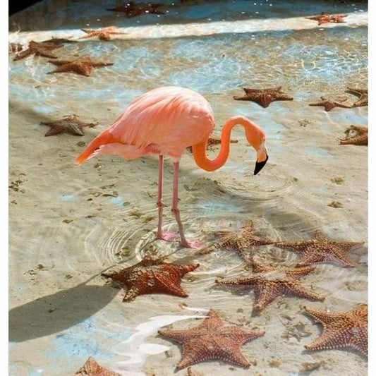 Full Drill - 5D DIY Diamond Painting Kits Pink Flamingo