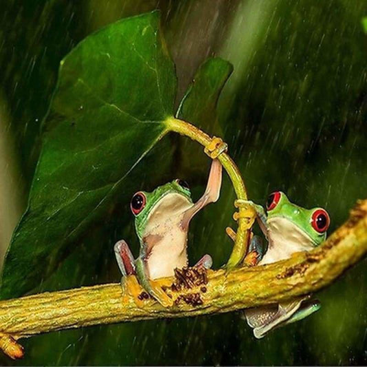 Full Drill - 5D DIY Diamond Painting Kits Rainy Day Cute