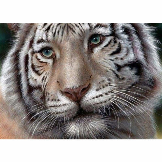 Full Drill - Full Drill - 5D DIY Diamond Painting Tiger 