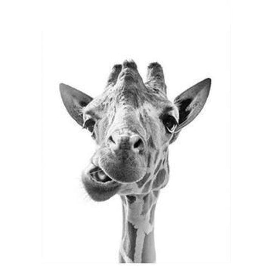 Giraffe Diy Paint By Numbers Kits VM91586 - NEEDLEWORK KITS
