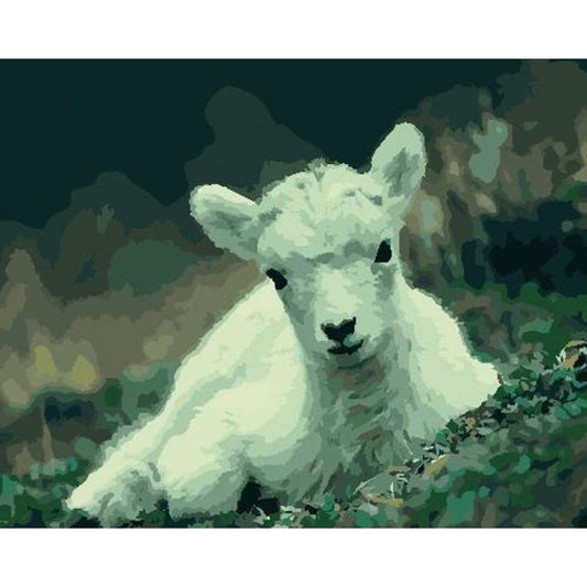 Goat Diy Paint By Numbers Kits ZXB774 - NEEDLEWORK KITS