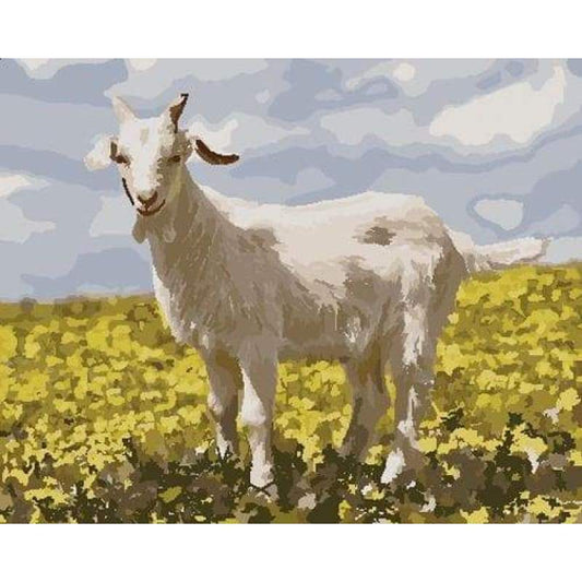 Goat Diy Paint By Numbers Kits ZXB778 - NEEDLEWORK KITS