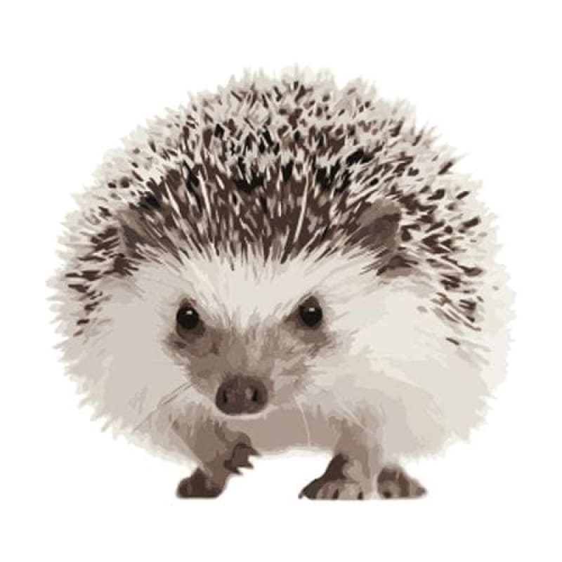 Hedgehog Diy Paint By Numbers Kits ZXB756 - NEEDLEWORK KITS