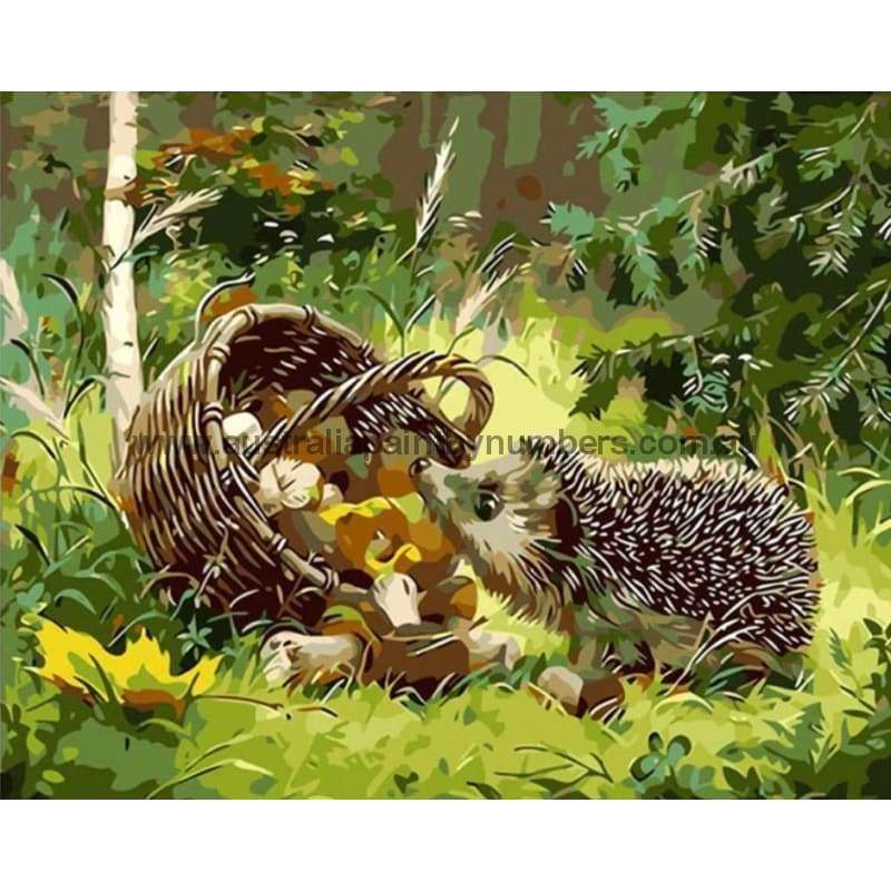 Hedgehog Paint By Numbers Kits VM90967 - NEEDLEWORK KITS