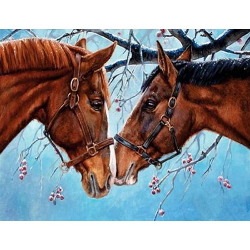 Horse Diy Paint By Numbers Kits PBN51379 - NEEDLEWORK KITS