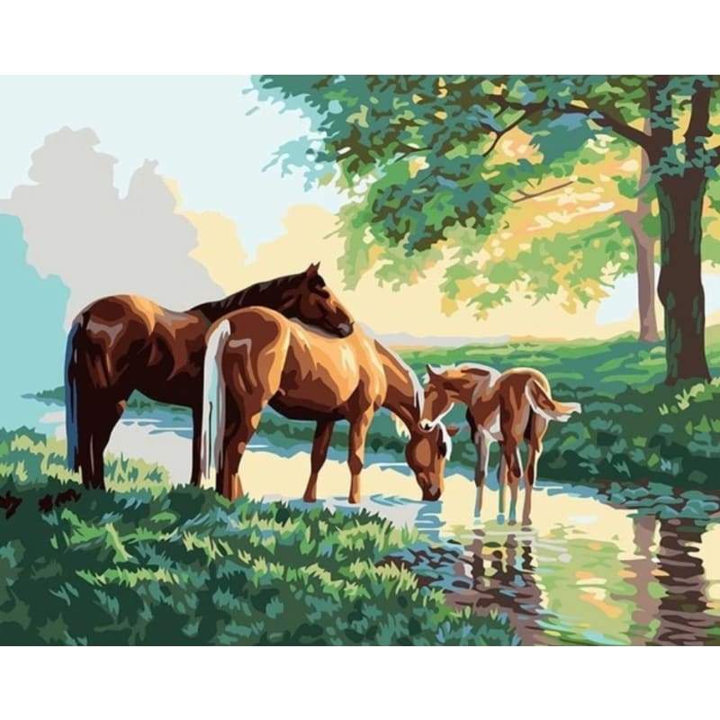 Horse Diy Paint By Numbers Kits PBN52317 - NEEDLEWORK KITS