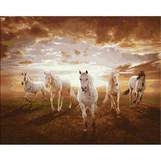 Horse Diy Paint By Numbers Kits PBN91437 - NEEDLEWORK KITS