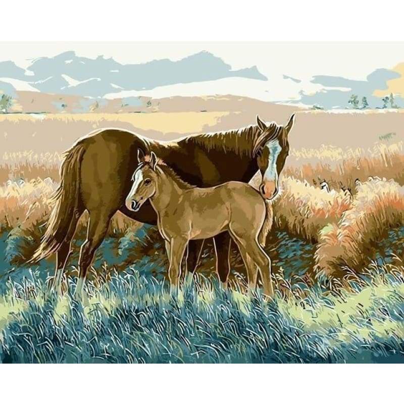 Horse Diy Paint By Numbers Kits PBN96112 - NEEDLEWORK KITS