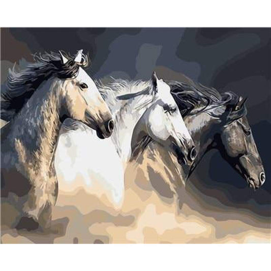 Horse Diy Paint By Numbers Kits VM50254 - NEEDLEWORK KITS