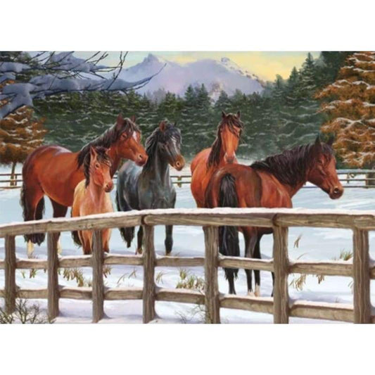 Horse Diy Paint By Numbers Kits VM51407 - NEEDLEWORK KITS