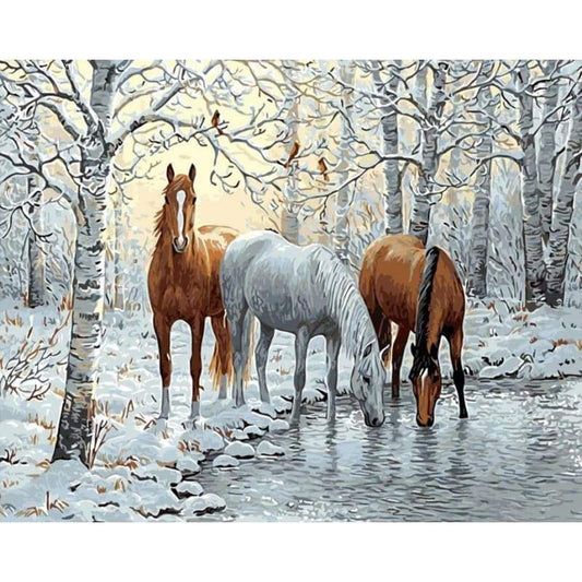 Horse Diy Paint By Numbers Kits VM55369 - NEEDLEWORK KITS