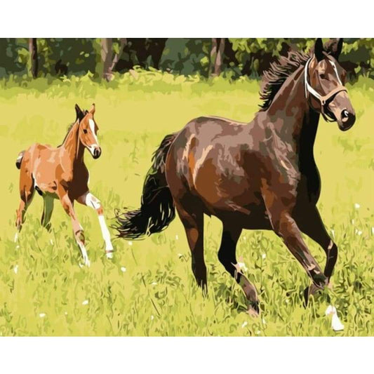Horse Diy Paint By Numbers Kits VM92374 - NEEDLEWORK KITS