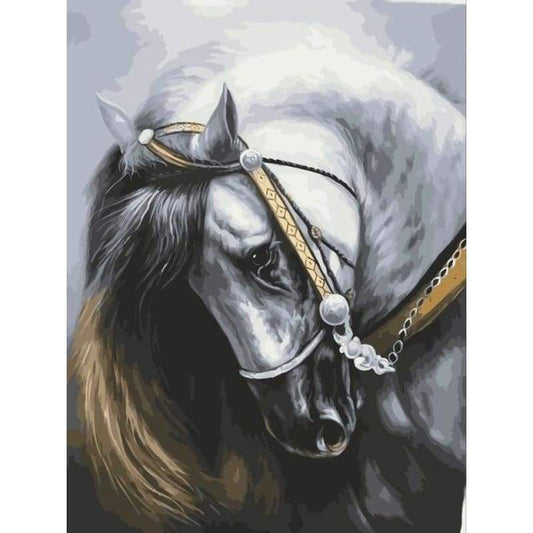 Horse Diy Paint By Numbers Kits VM92633 - NEEDLEWORK KITS