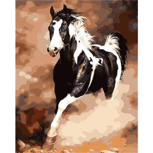 Horse Diy Paint By Numbers Kits VM95654 - NEEDLEWORK KITS