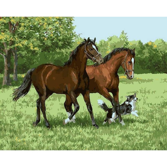 Horse Diy Paint By Numbers Kits WM-081 - NEEDLEWORK KITS