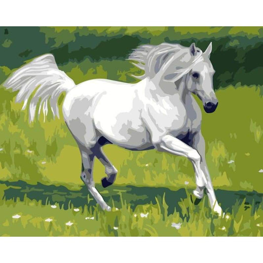 Horse Diy Paint By Numbers Kits WM-1030 - NEEDLEWORK KITS