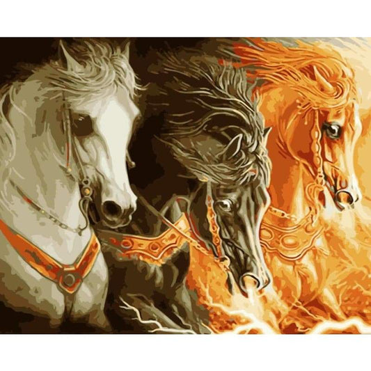 Horse Diy Paint By Numbers Kits WM-1051 - NEEDLEWORK KITS