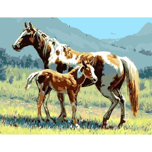 Horse Diy Paint By Numbers Kits WM-1682 - NEEDLEWORK KITS