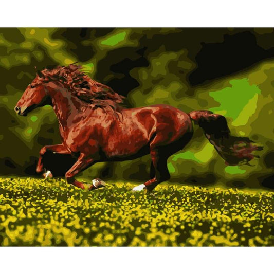 Horse Diy Paint By Numbers Kits WM-665 - NEEDLEWORK KITS