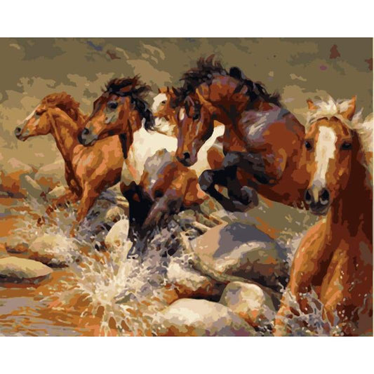 Horse Diy Paint By Numbers Kits WM-673 - NEEDLEWORK KITS