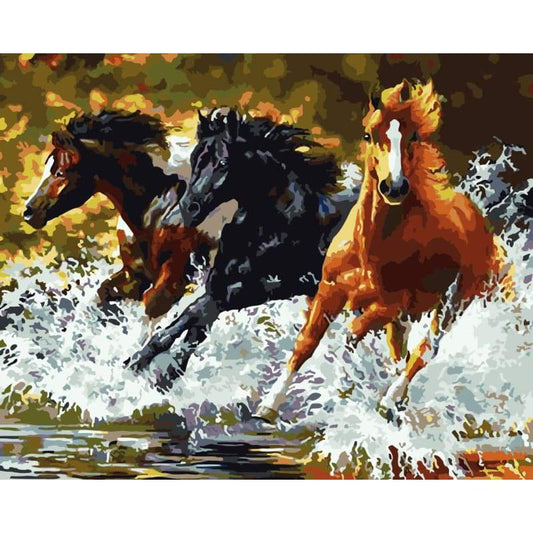 Horse Diy Paint By Numbers Kits WM-924 - NEEDLEWORK KITS