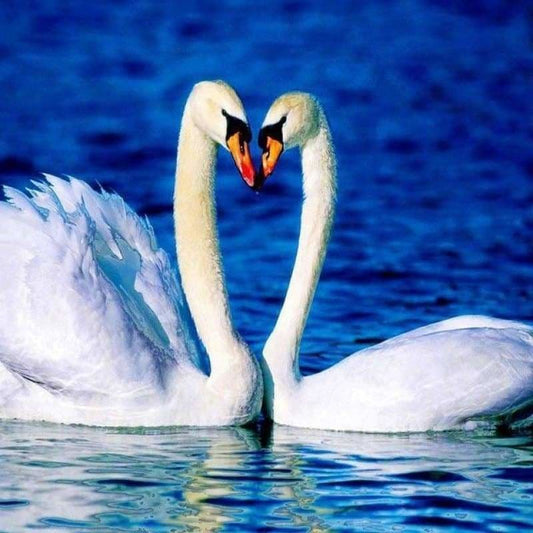 Hot Sale Elegant Swan Lover In Lake Full Drill - 5D Diy Full