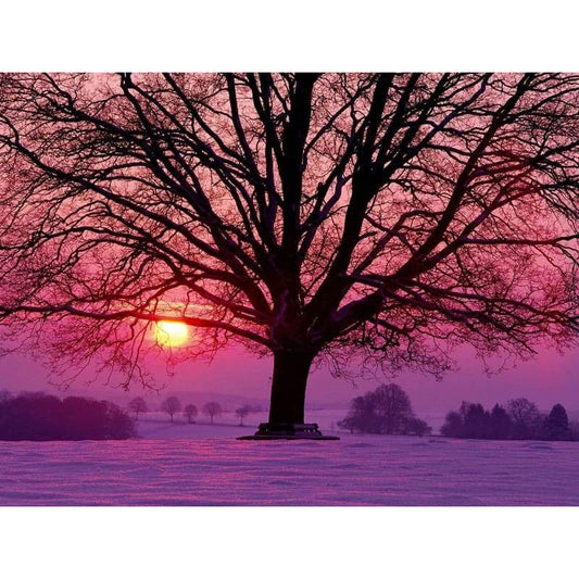 Landscape Tree Diy Paint By Numbers Kits VM90796 - NEEDLEWORK KITS