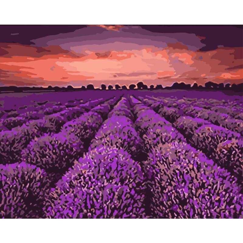 Lavender Diy Paint By Numbers Kits WM-376 - NEEDLEWORK KITS